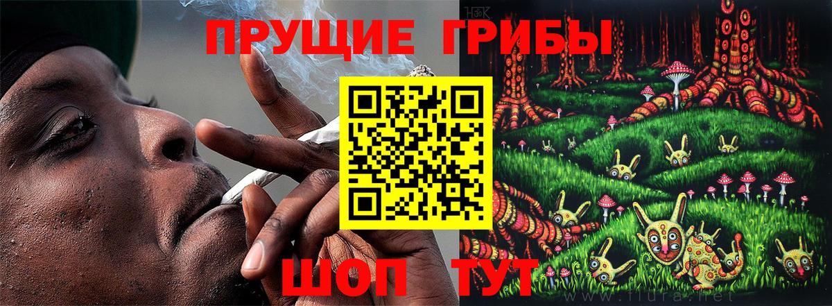 где можно купить наркотик  Галлюциногенные грибы Psilocybine cubensis  Ангарск  Вход с VPN  Псилоцибиновые грибы мухоморы 